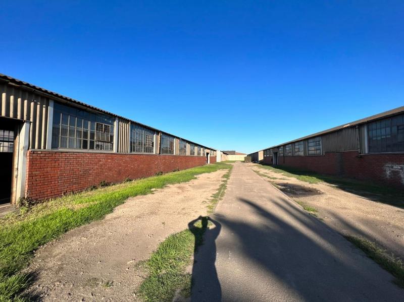 To Let commercial Property for Rent in Markman Industrial Eastern Cape